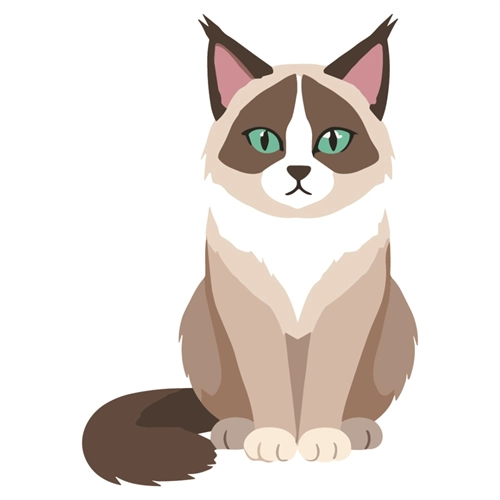 Cat Lovers Theme Ragdoll Cat Transparent Sticker